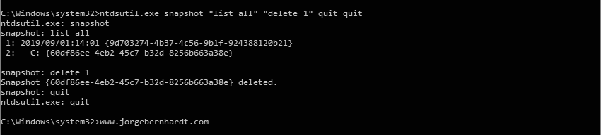 ntdsutil delete